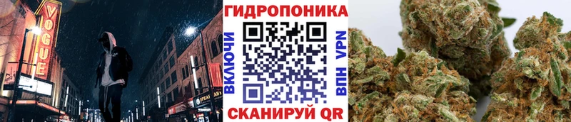 Шишки марихуана ГИДРОПОН  даркнет сайт  Пучеж 